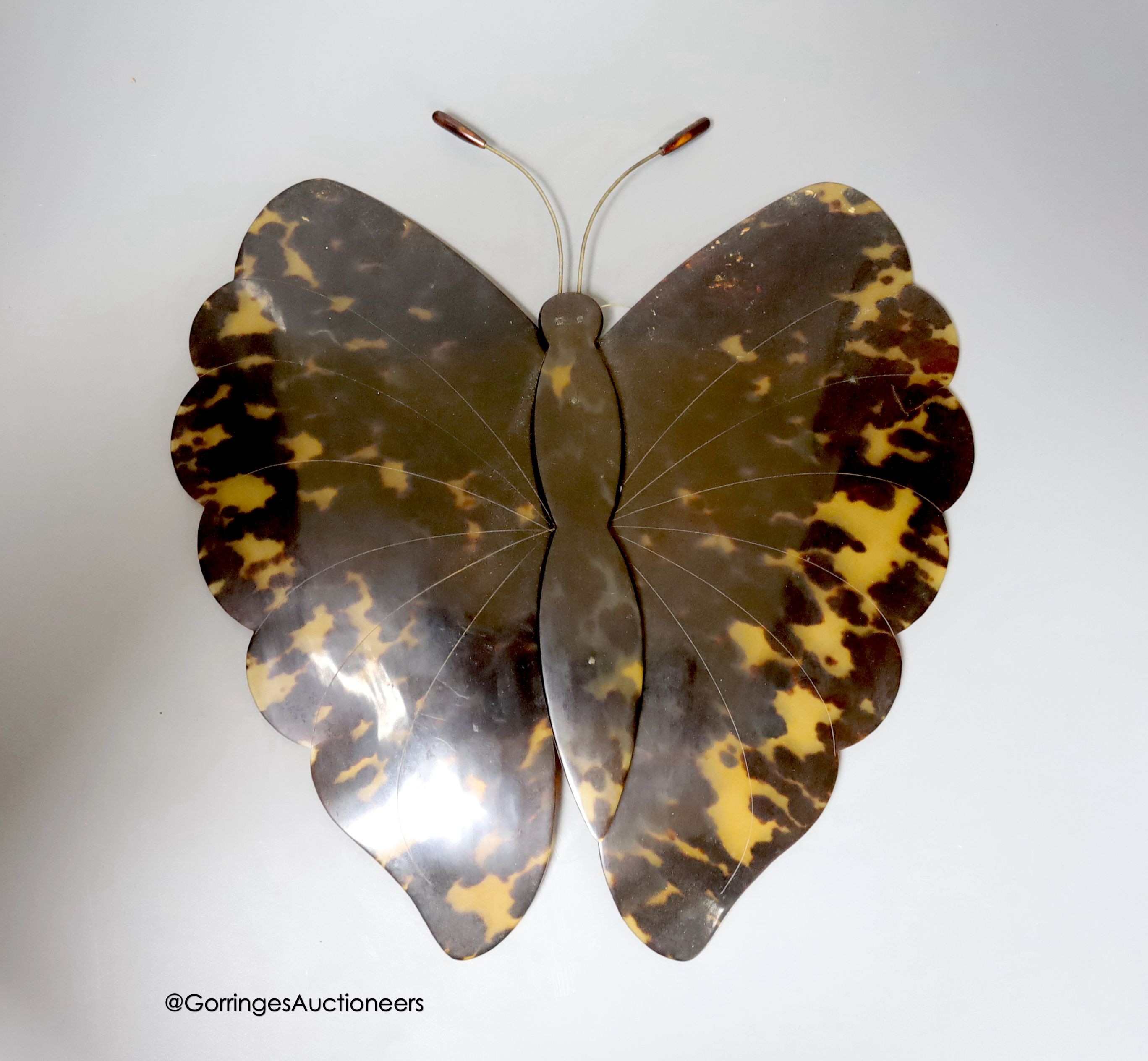 A tortoiseshell butterfly mount, Early 20th century 28cm x 26cm